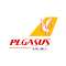 Pegasus Airlines