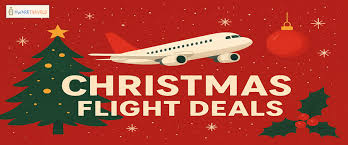 Flight Delay Image